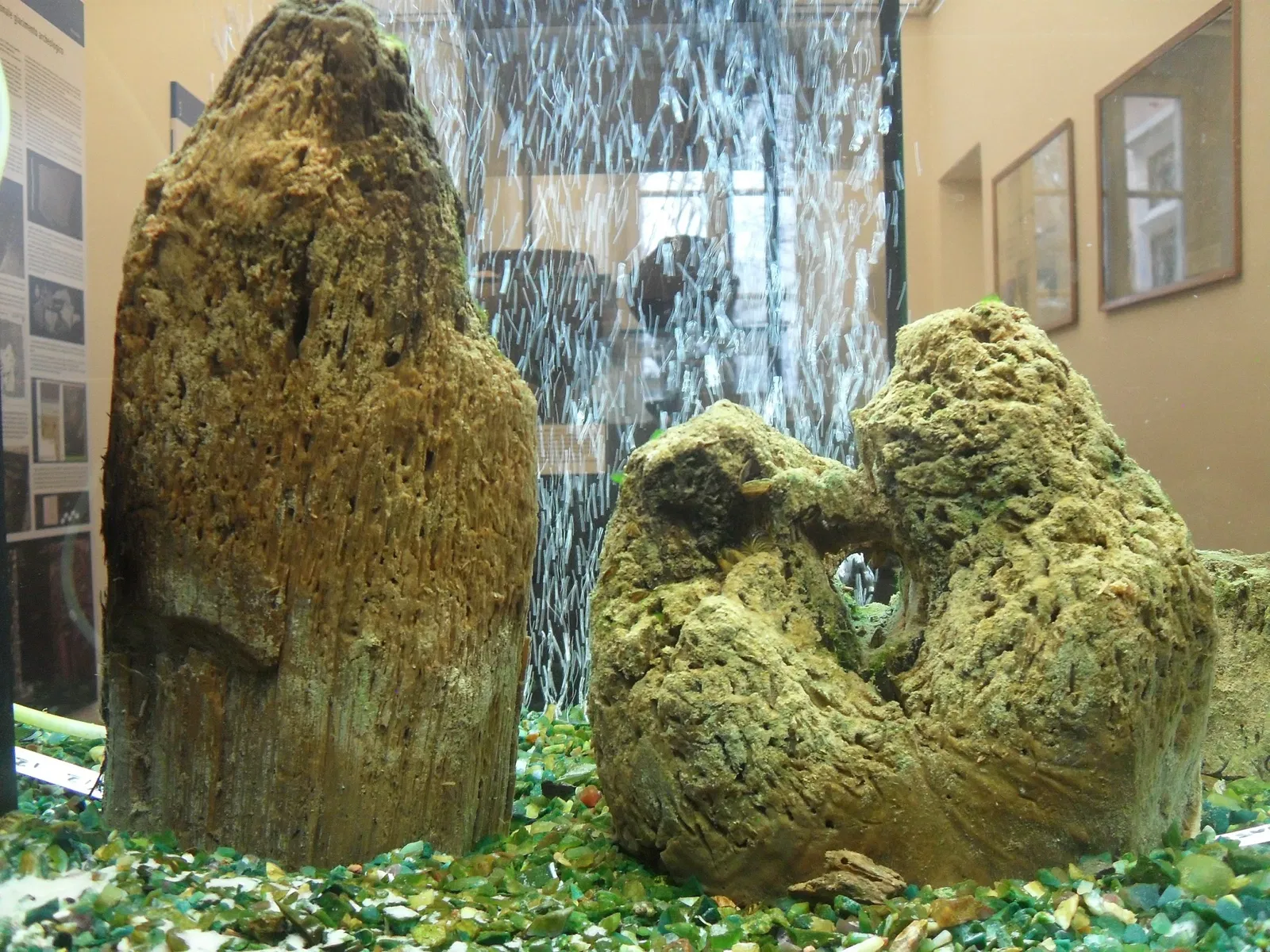 Museo Archeologico di Villa Mirabello