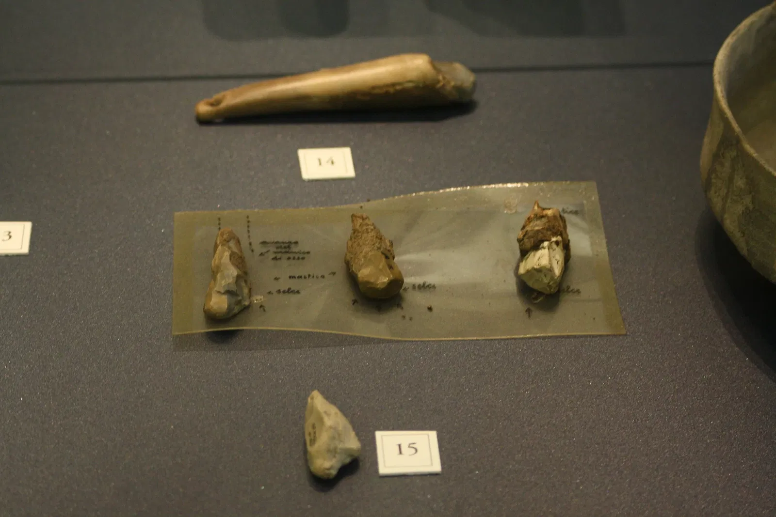 Museo Archeologico di Villa Mirabello