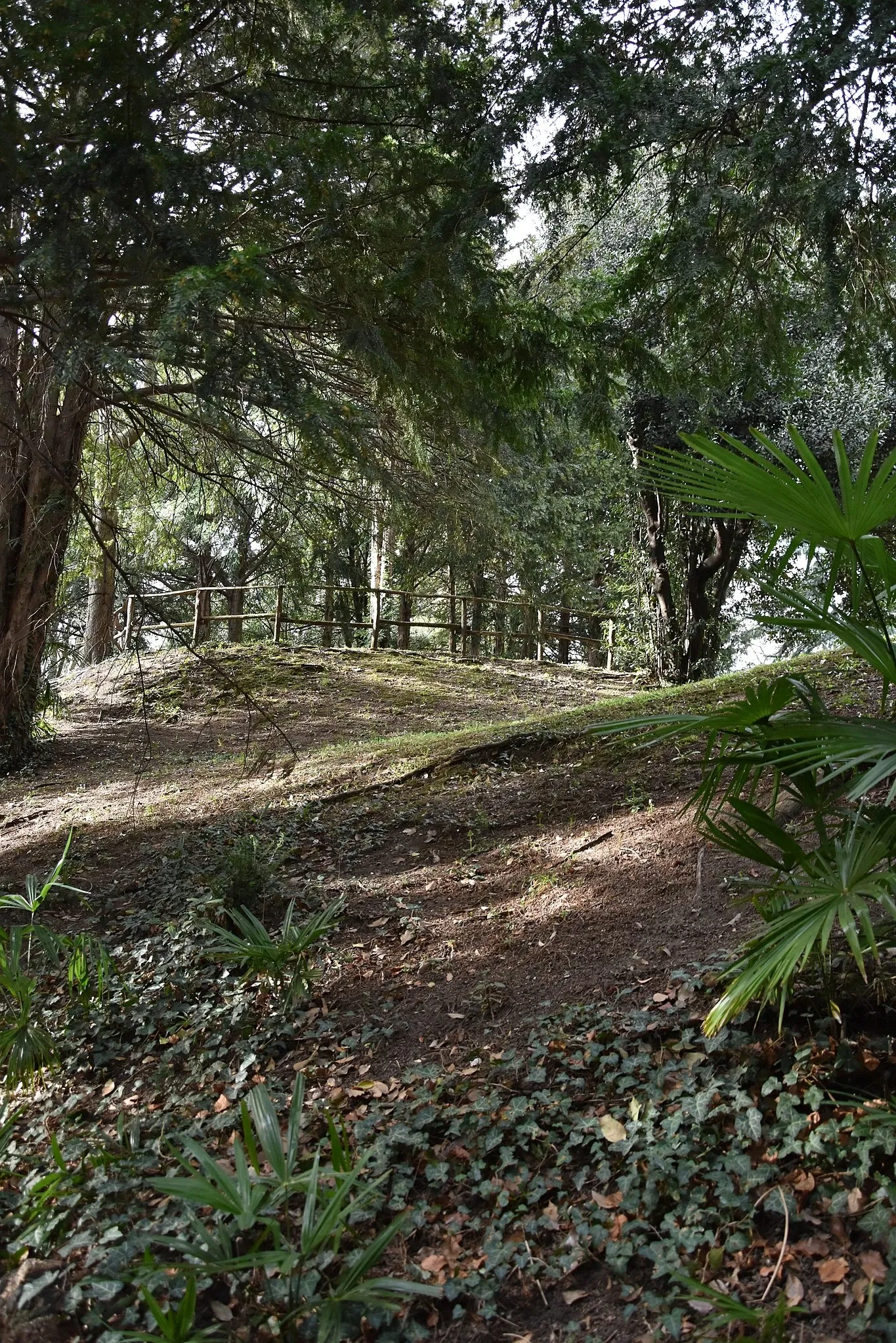 Museo Civico di Arte Moderna e Contemporanea - Castello Masnago