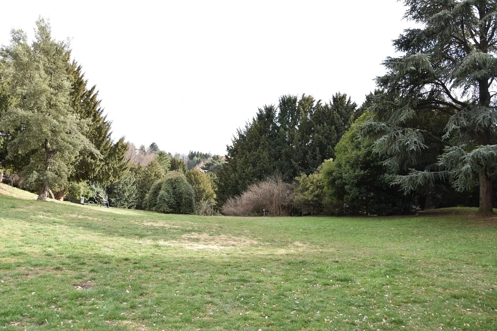 Museo Civico di Arte Moderna e Contemporanea - Castello Masnago