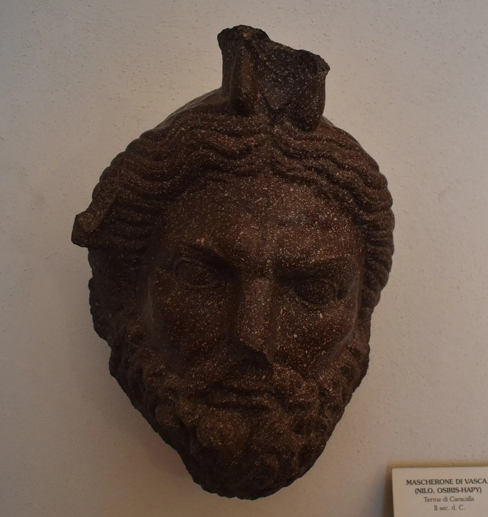 Museo Naturalistico Archeologico di Santa Corona