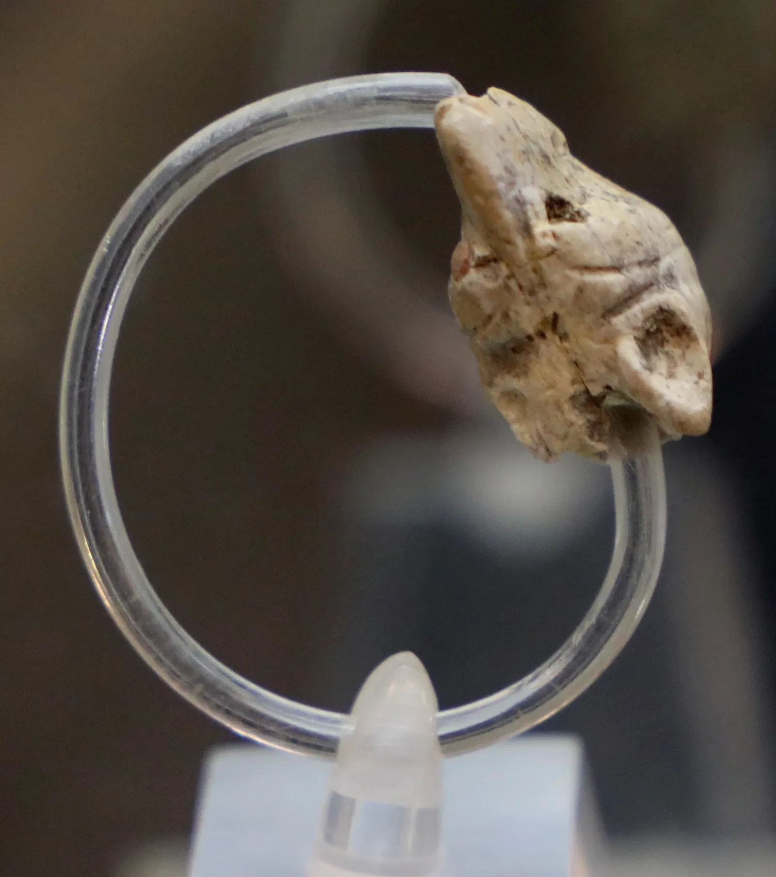 National Archaeological Museum of Crotone