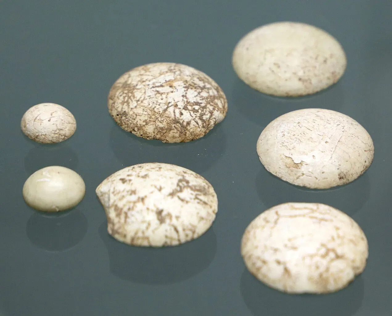 Museo Archeologico Villa Sulcis