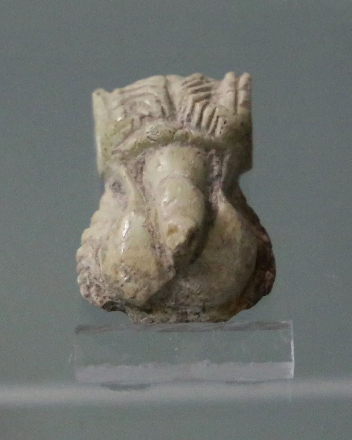 Museo Archeologico Villa Sulcis