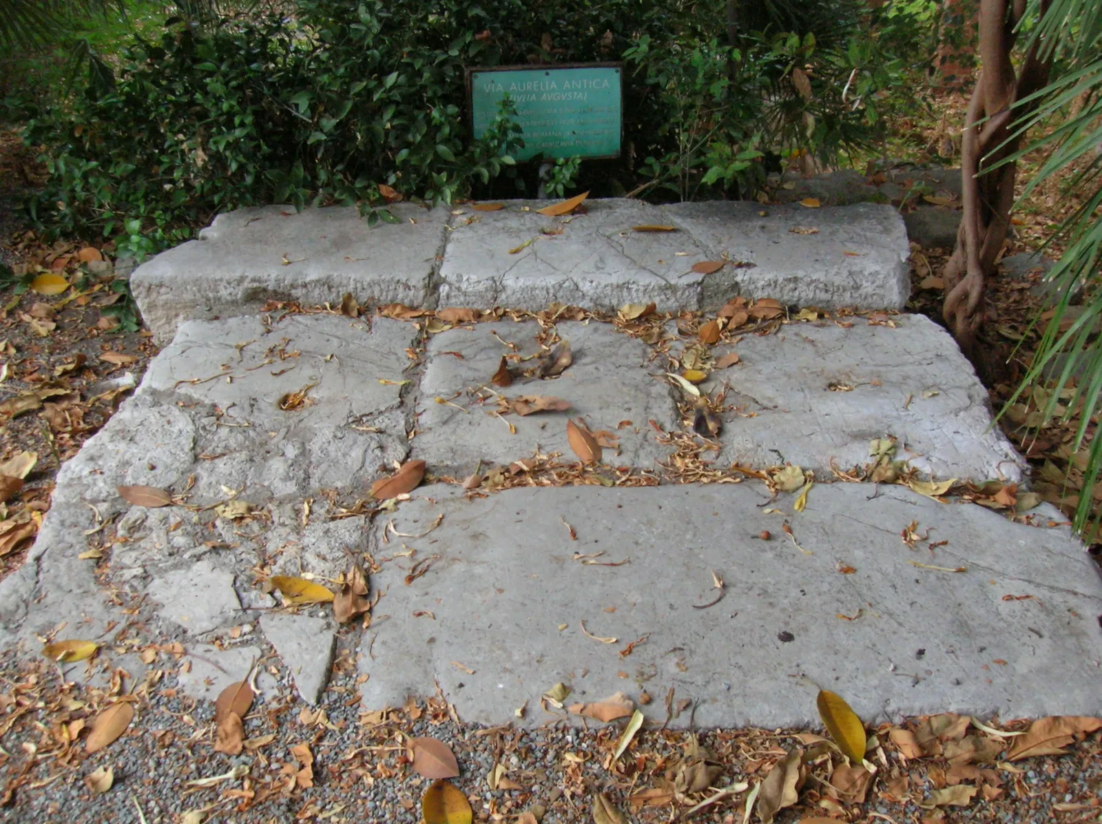 Museo Clarence Bicknell