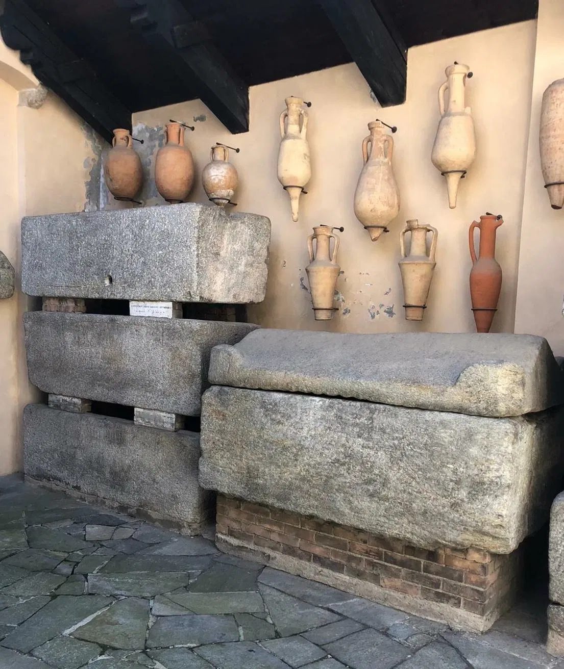 Museo Leone Vercelli