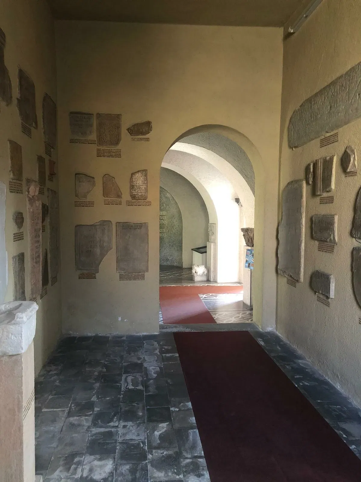 Museo Leone Vercelli