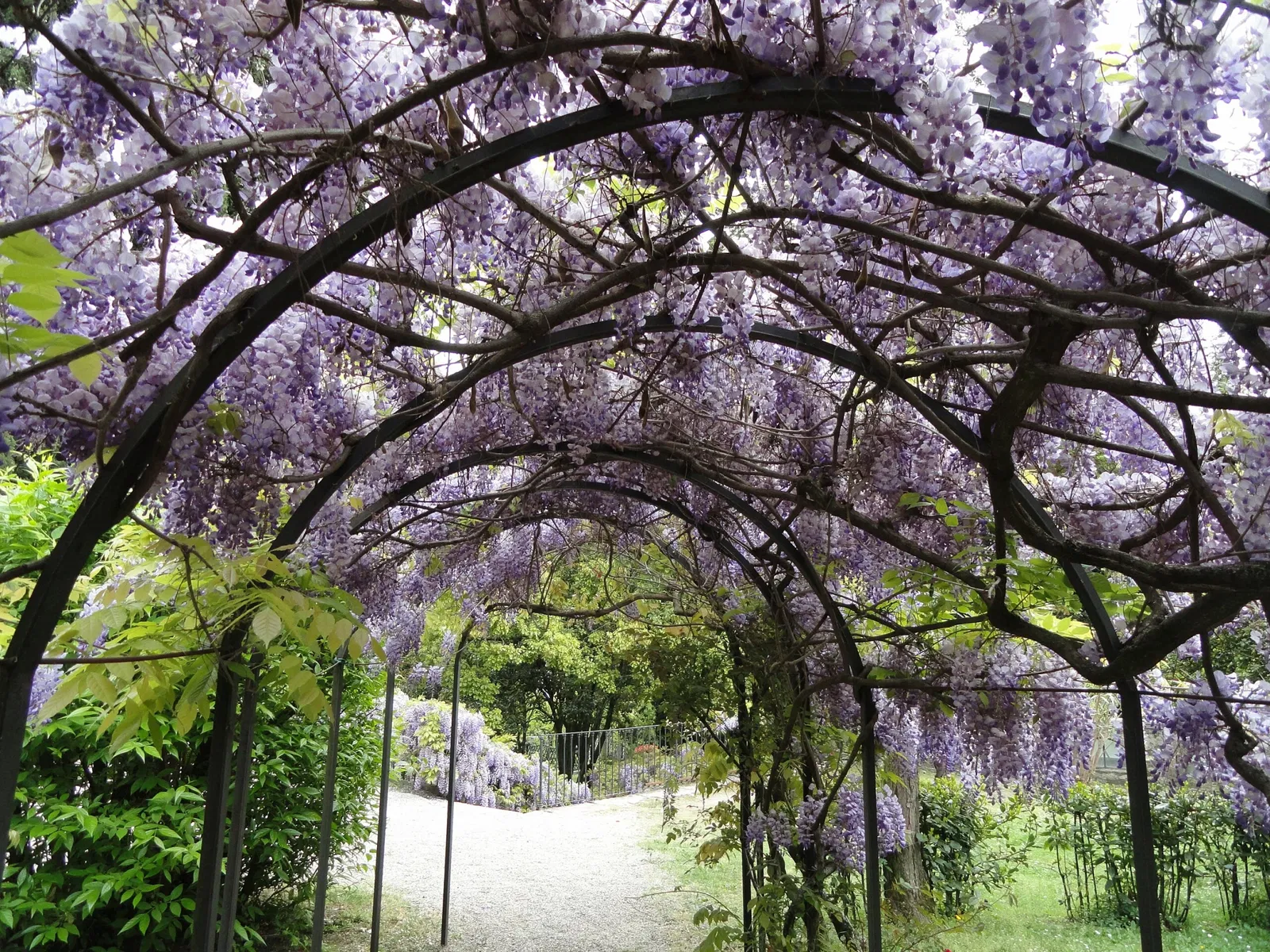 Fondazione Il Vittoriale degli Italiani