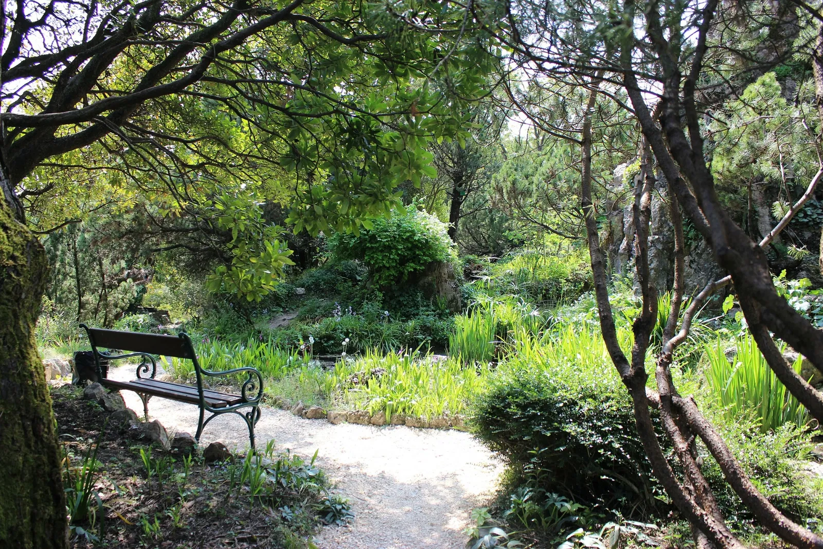 Giardino Botanico Fondazione André Heller