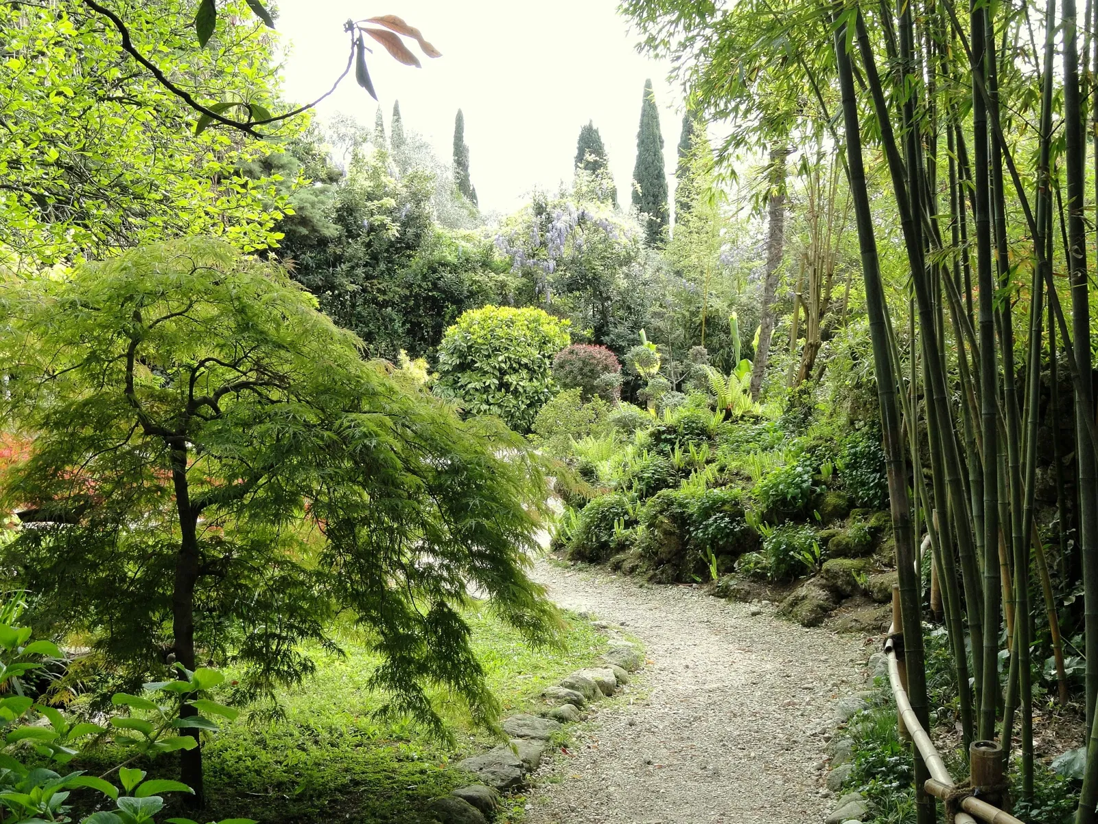 Giardino Botanico Fondazione André Heller