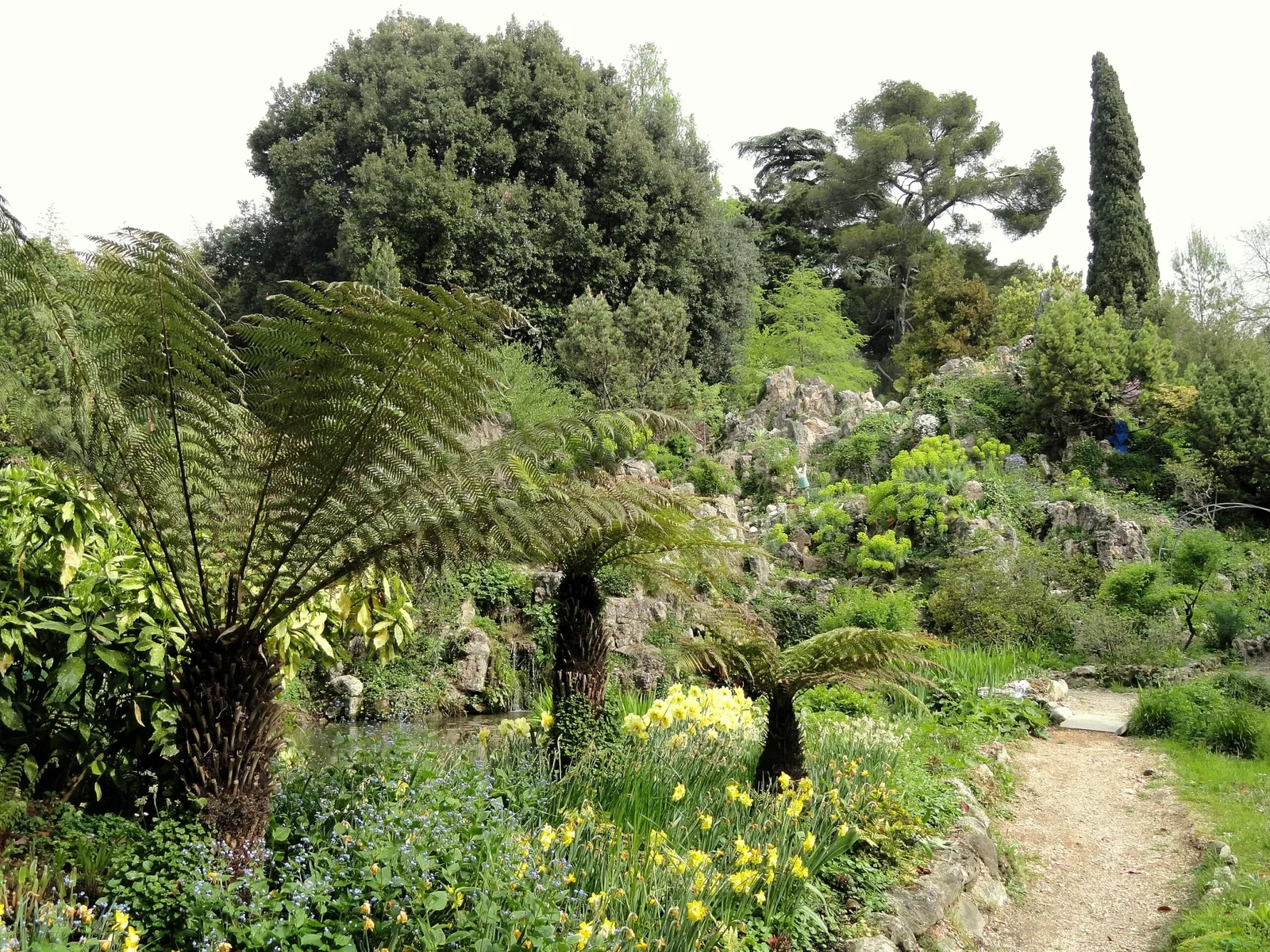 Giardino Botanico Fondazione André Heller