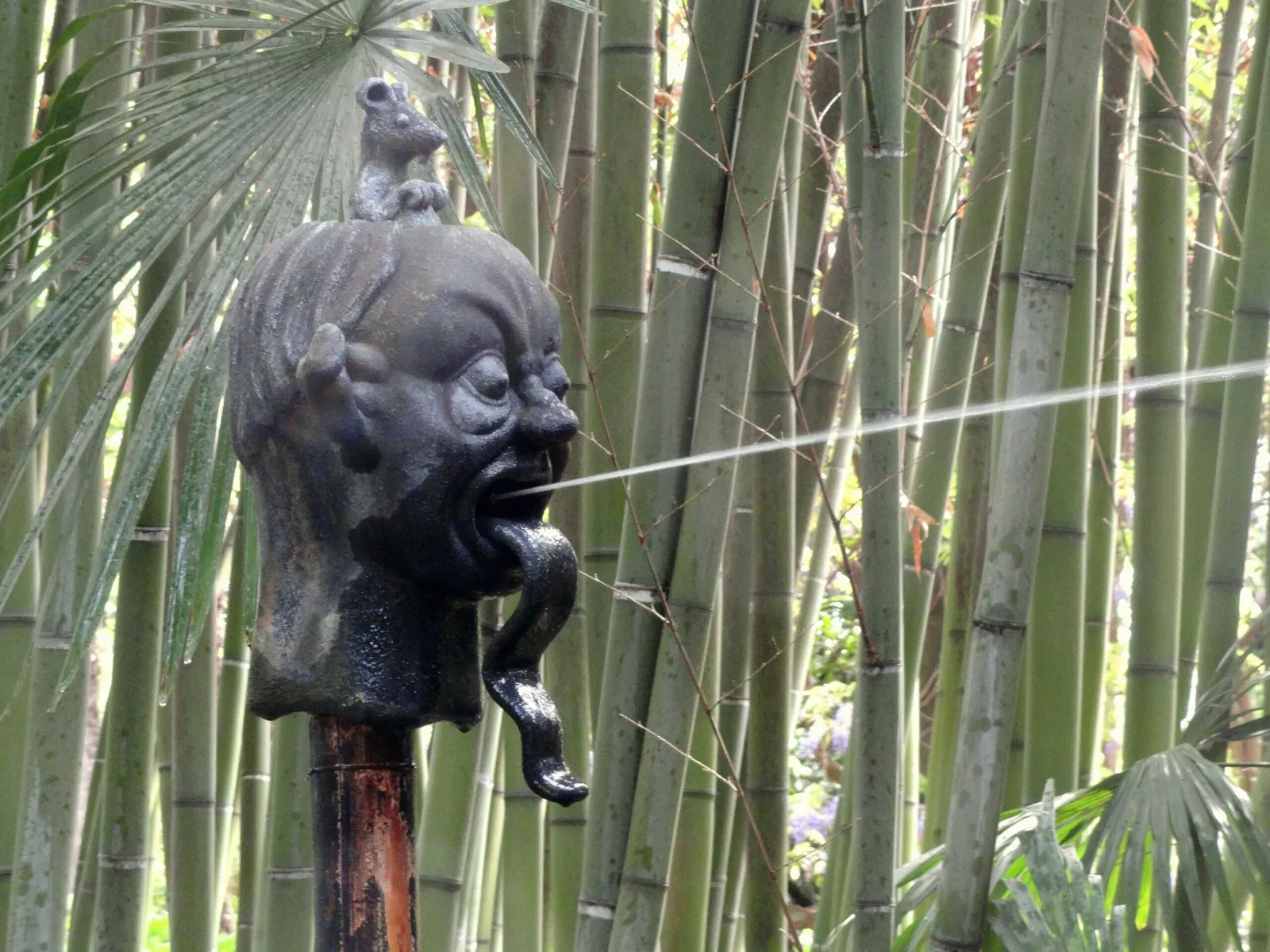Giardino Botanico Fondazione André Heller