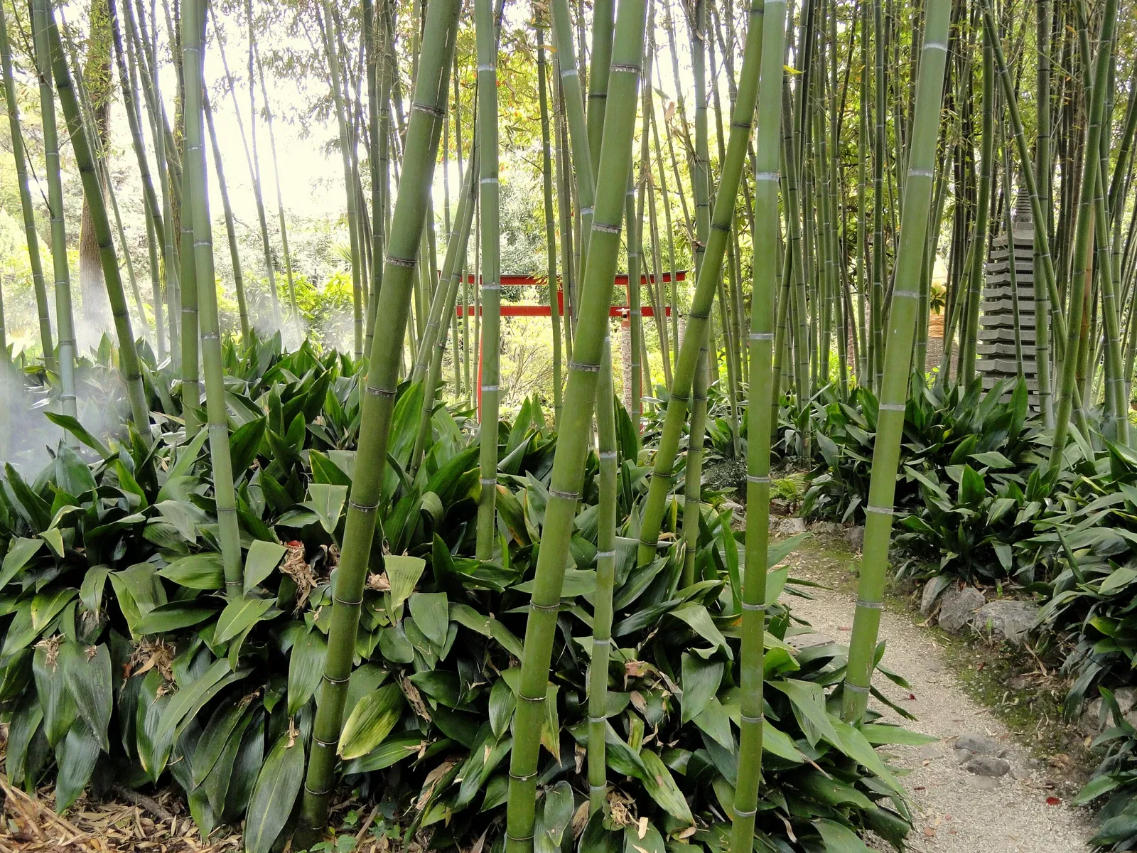 Giardino Botanico Fondazione André Heller