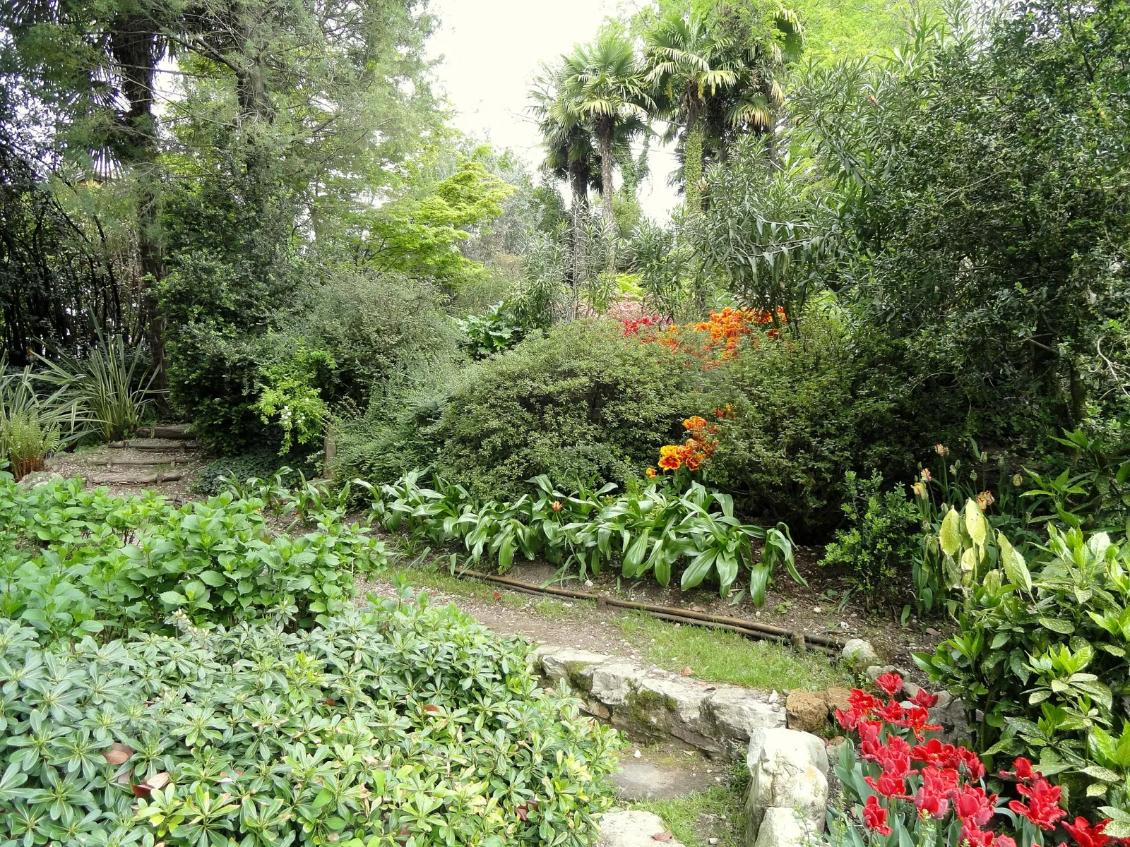Giardino Botanico Fondazione André Heller
