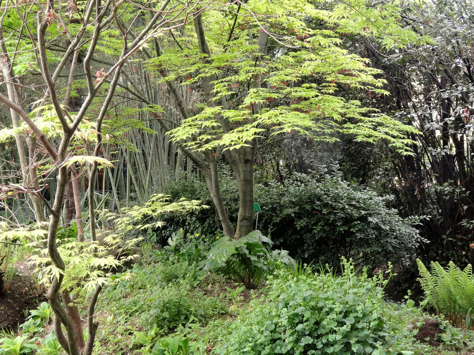 Giardino Botanico Fondazione André Heller