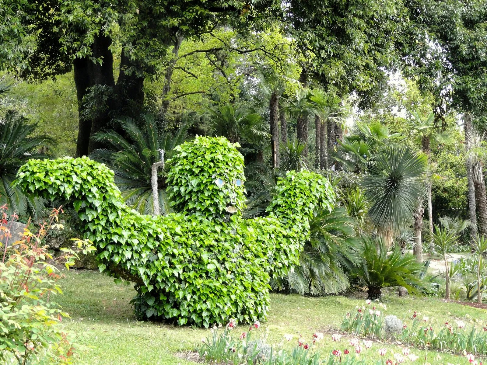 Giardino Botanico Fondazione André Heller