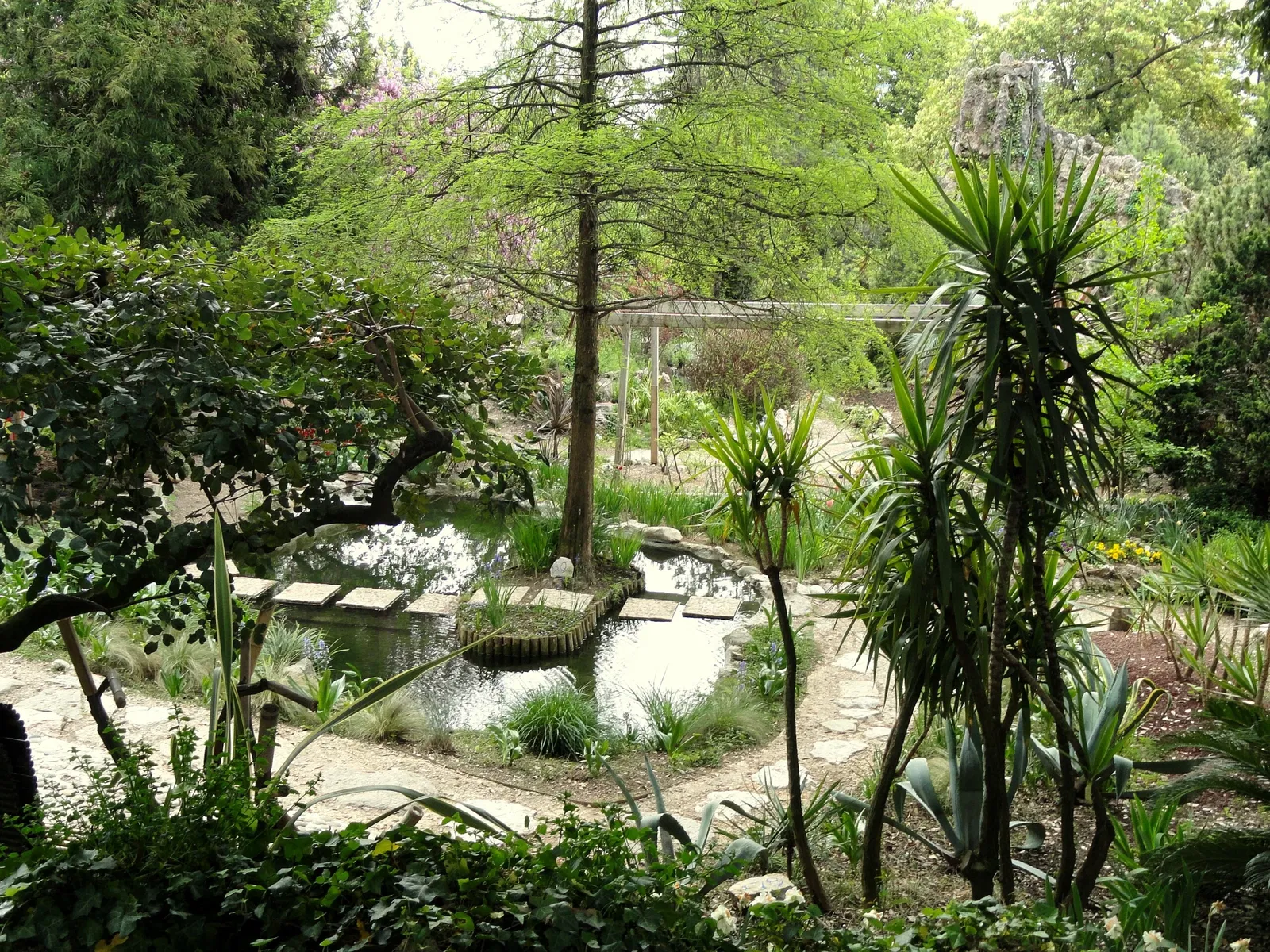 Giardino Botanico Fondazione André Heller