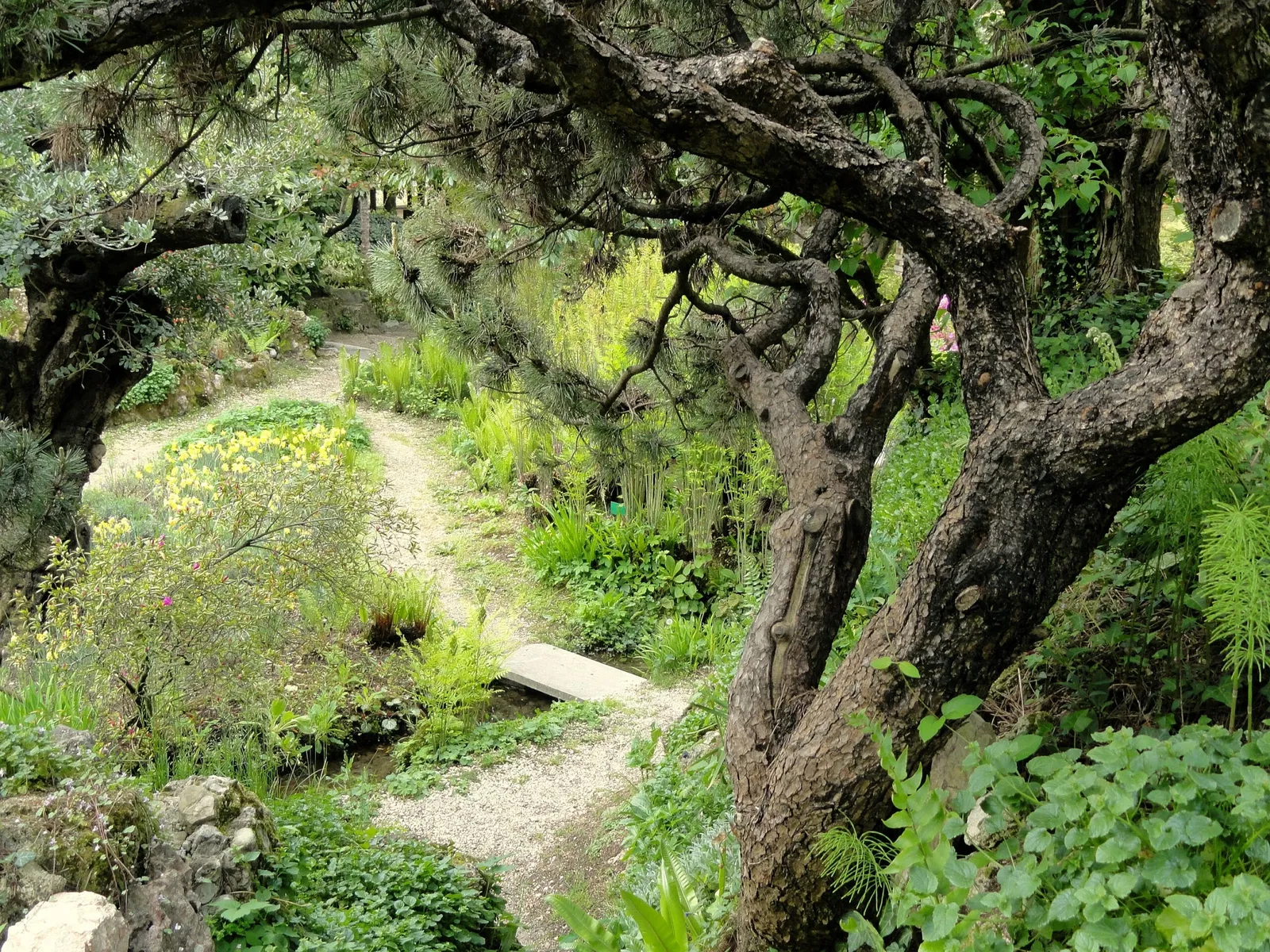 Giardino Botanico Fondazione André Heller