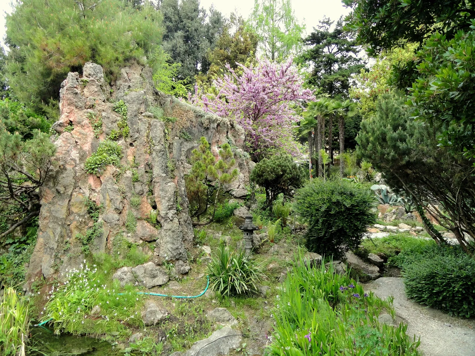 Giardino Botanico Fondazione André Heller