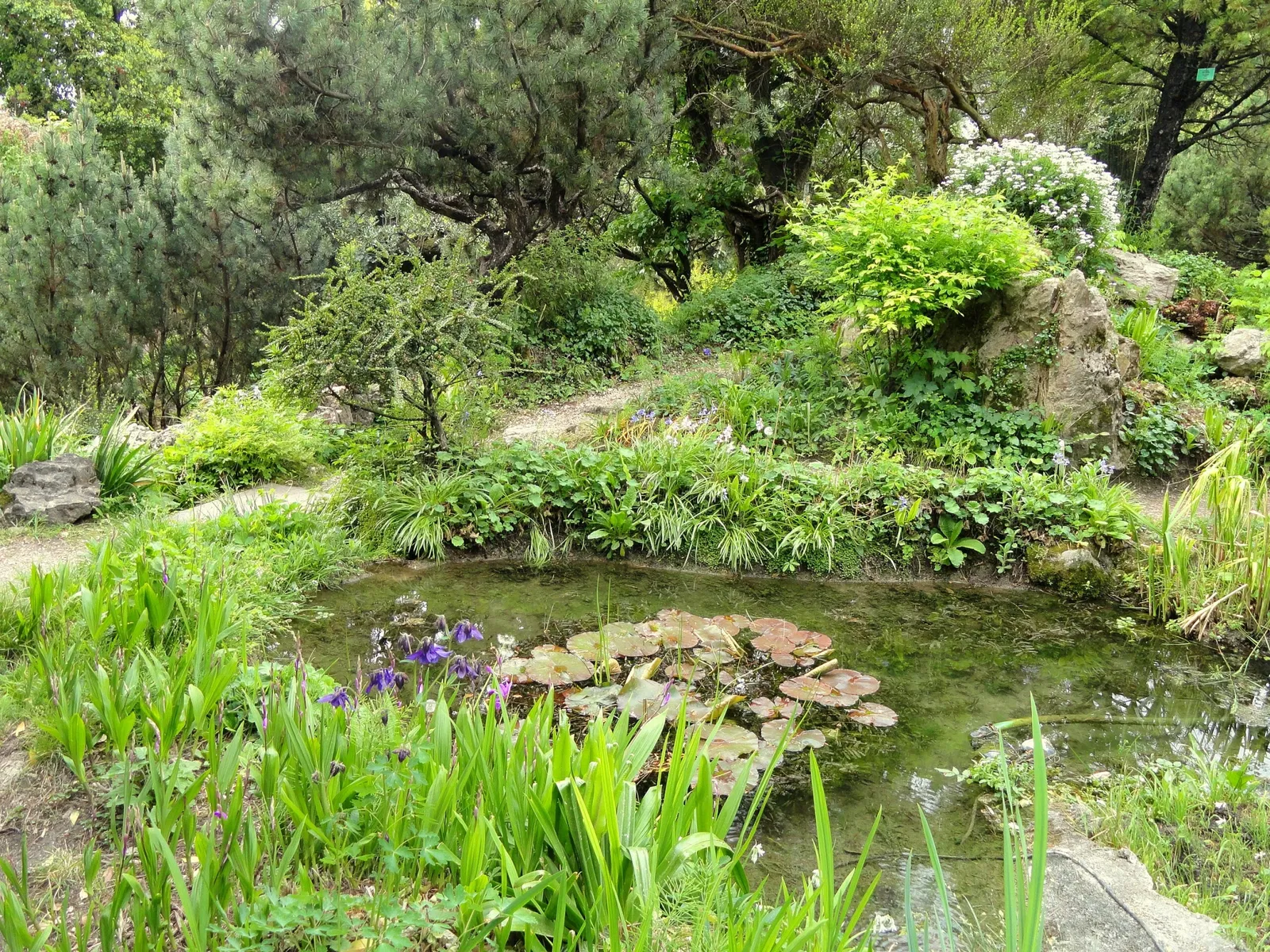 Giardino Botanico Fondazione André Heller