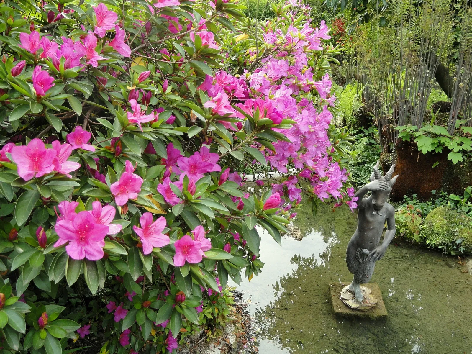 Giardino Botanico Fondazione André Heller