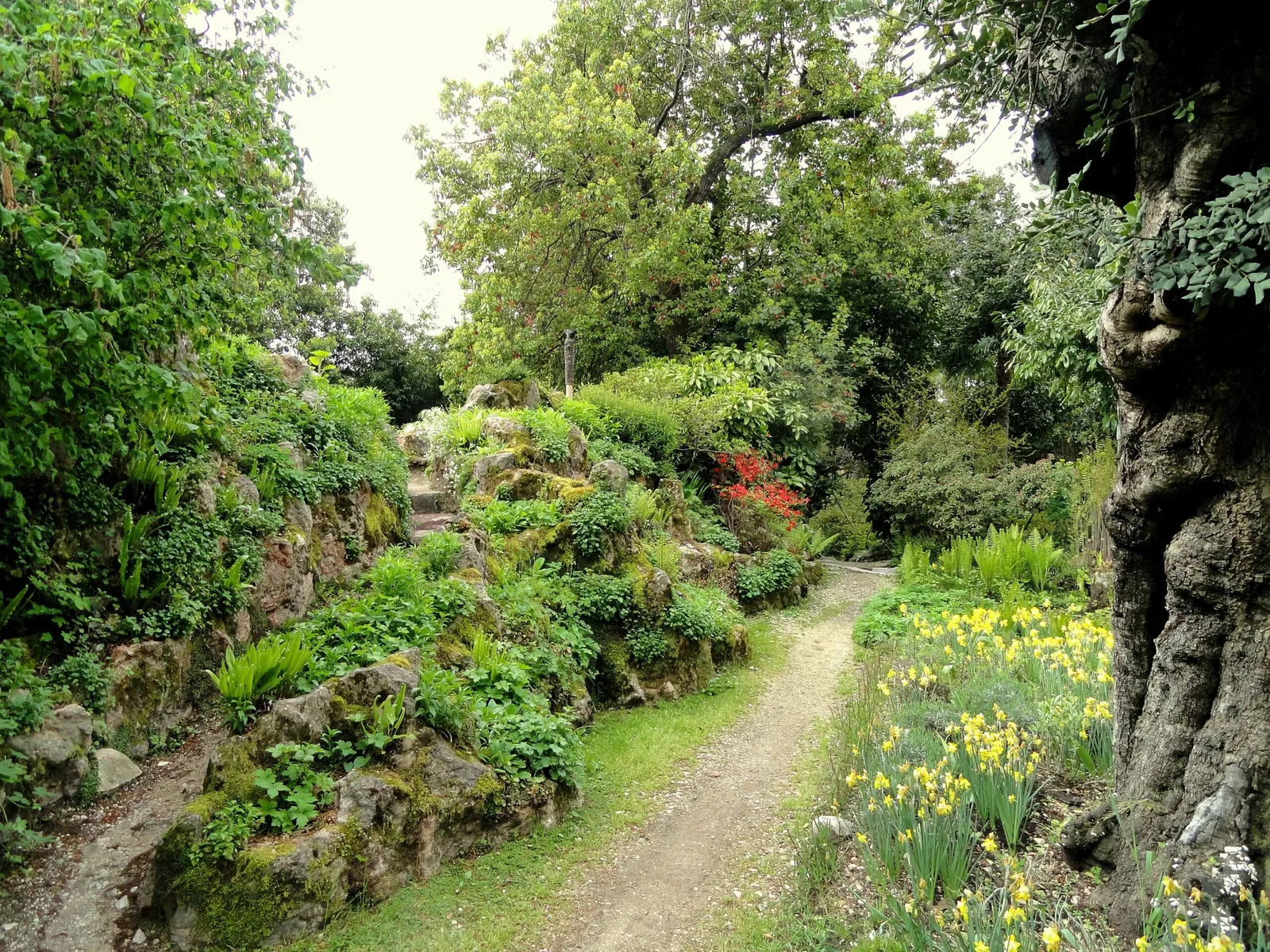 Giardino Botanico Fondazione André Heller