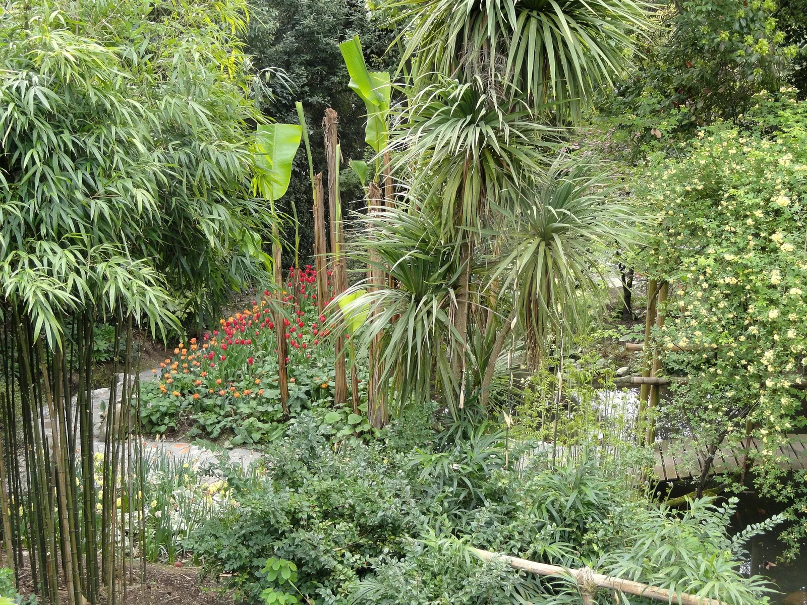 Giardino Botanico Fondazione André Heller