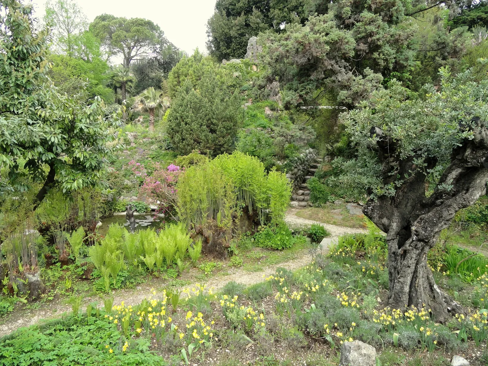 Giardino Botanico Fondazione André Heller