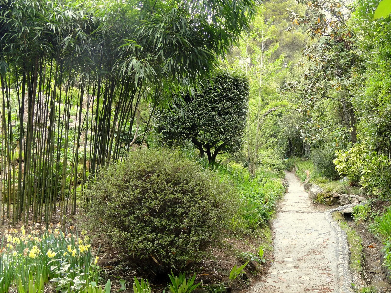 Giardino Botanico Fondazione André Heller
