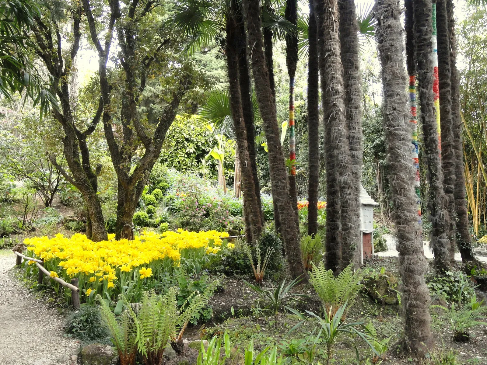 Giardino Botanico Fondazione André Heller