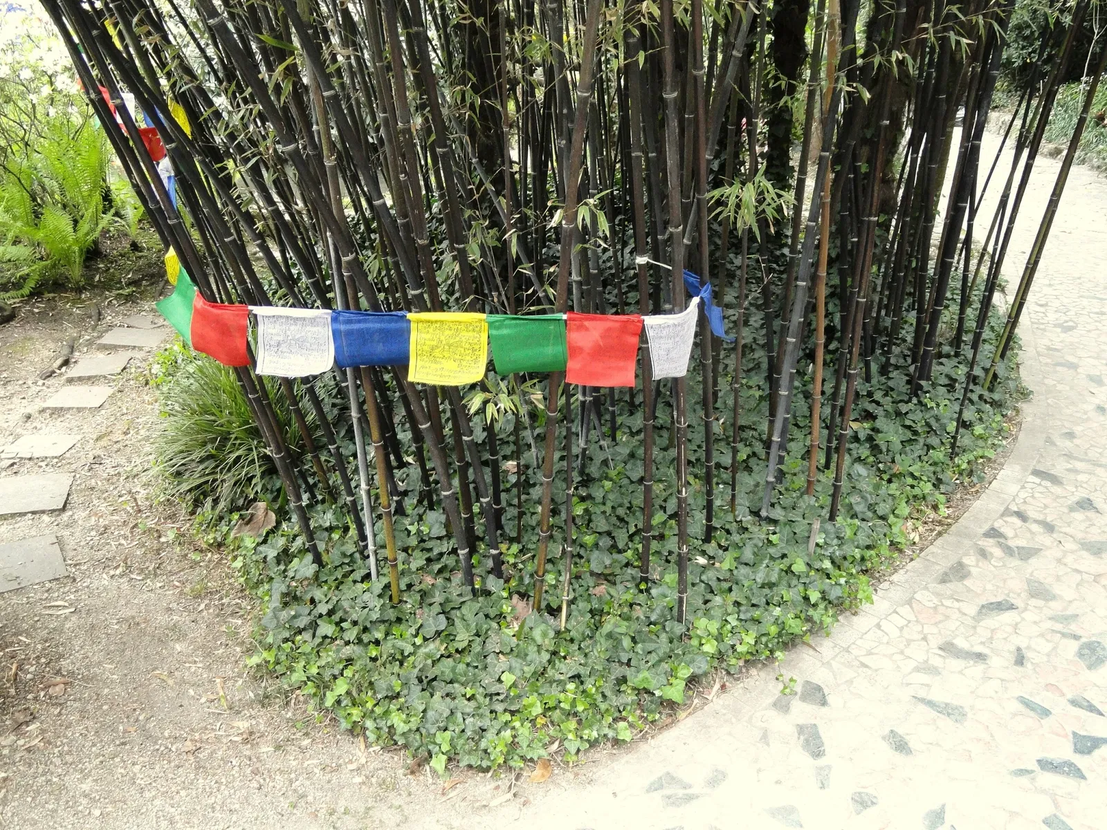 Giardino Botanico Fondazione André Heller