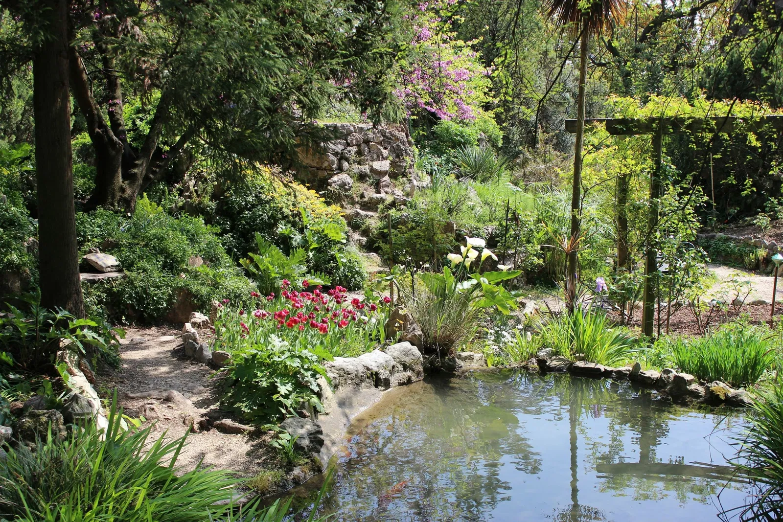 Giardino Botanico Fondazione André Heller
