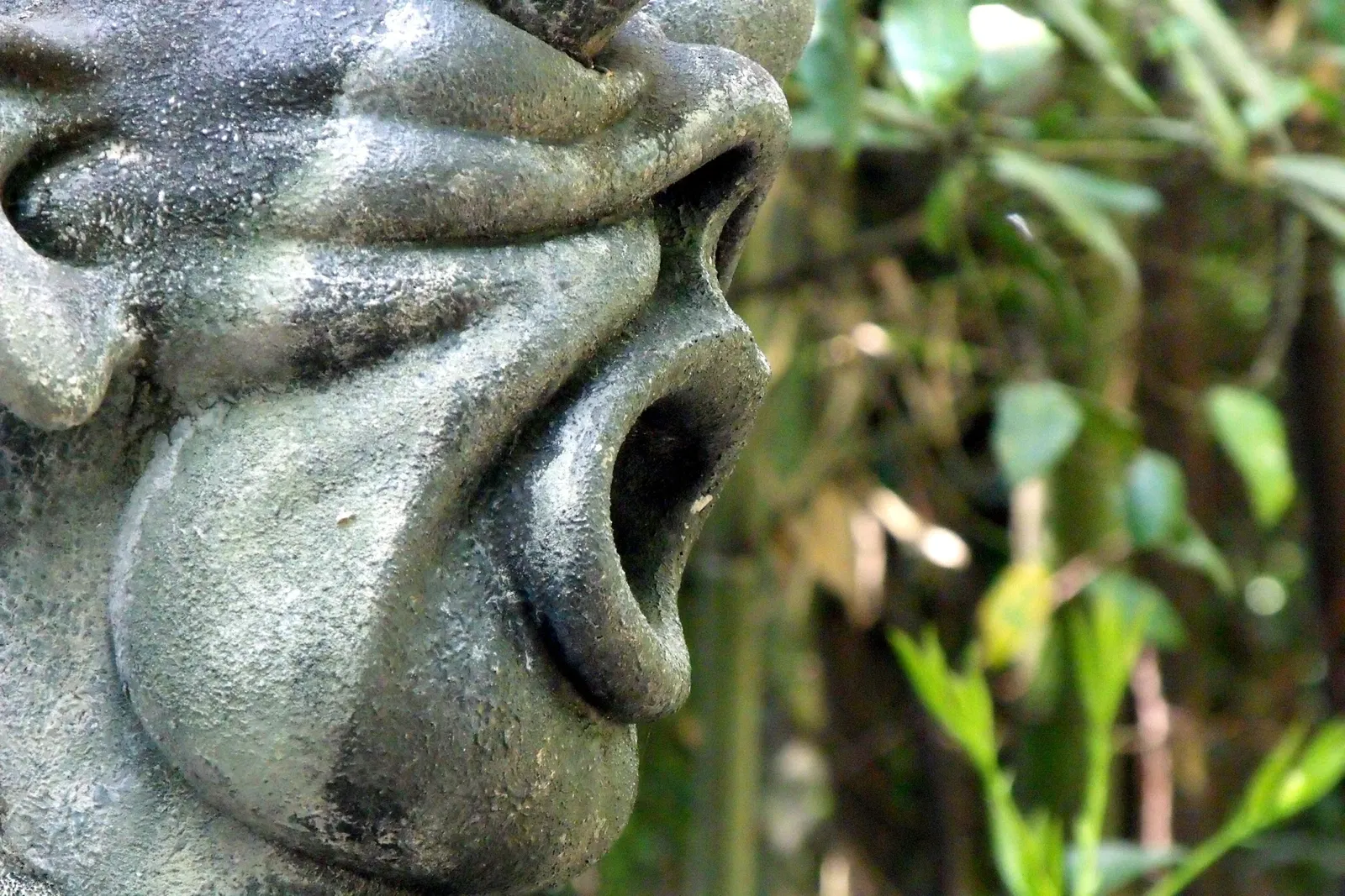 Giardino Botanico Fondazione André Heller