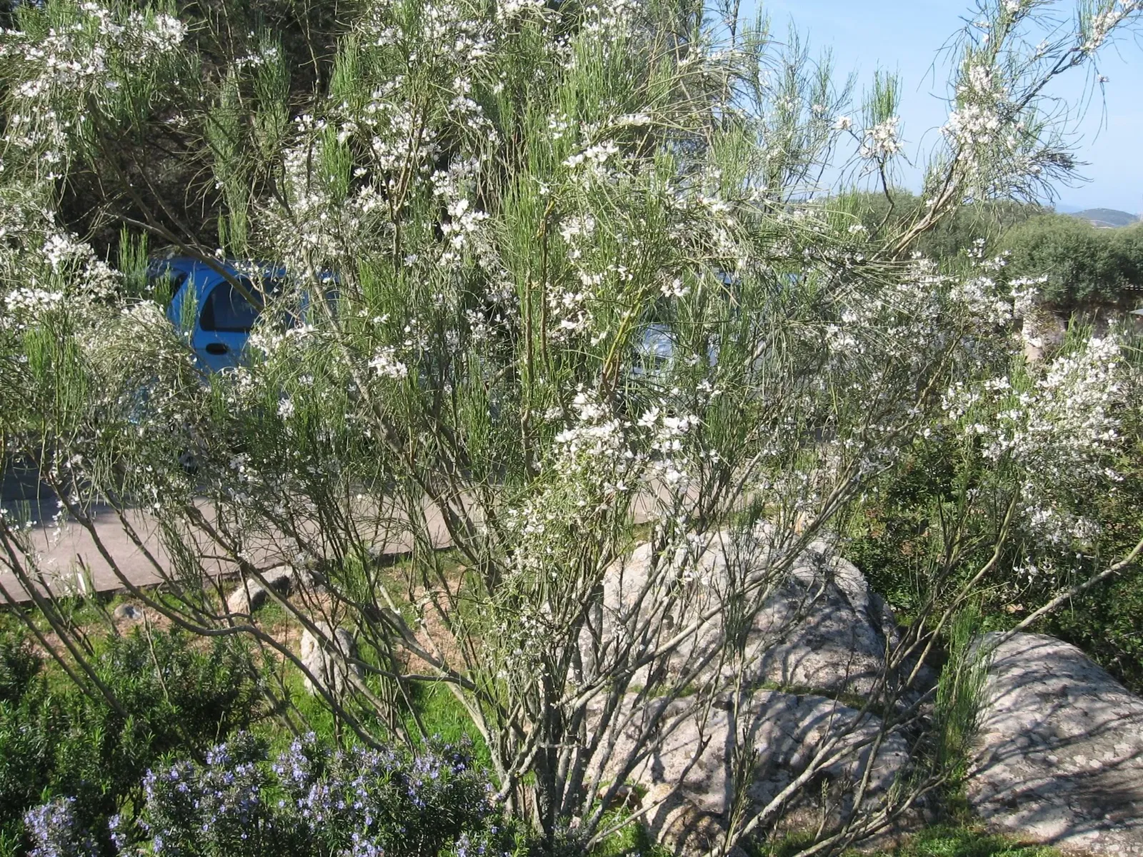Musei Garibaldini di Caprera