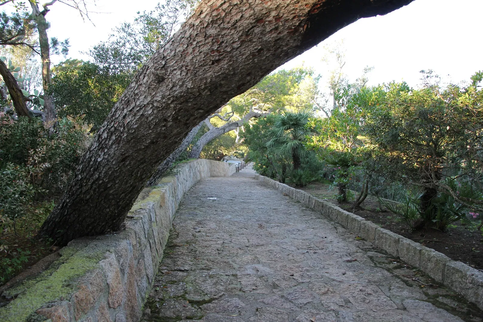 Musei Garibaldini di Caprera