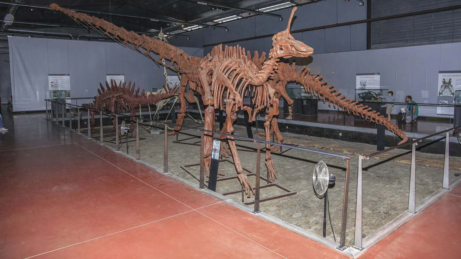 Musée des Dinosaures
