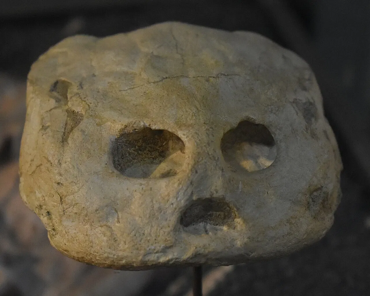 Musée des Dinosaures