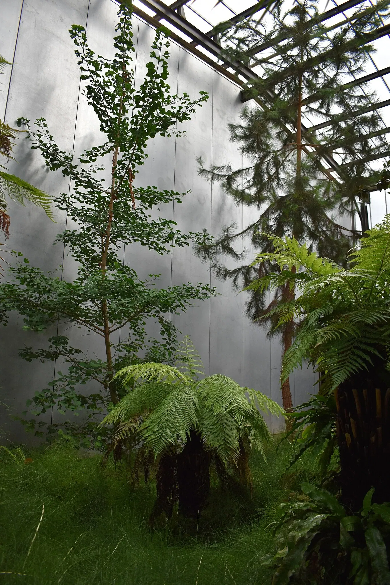 Musée des Dinosaures