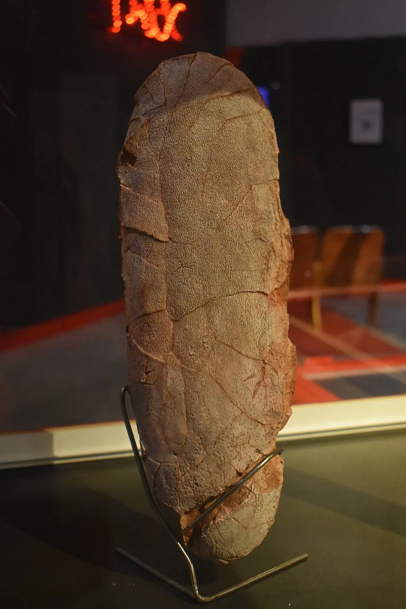 Musée des Dinosaures