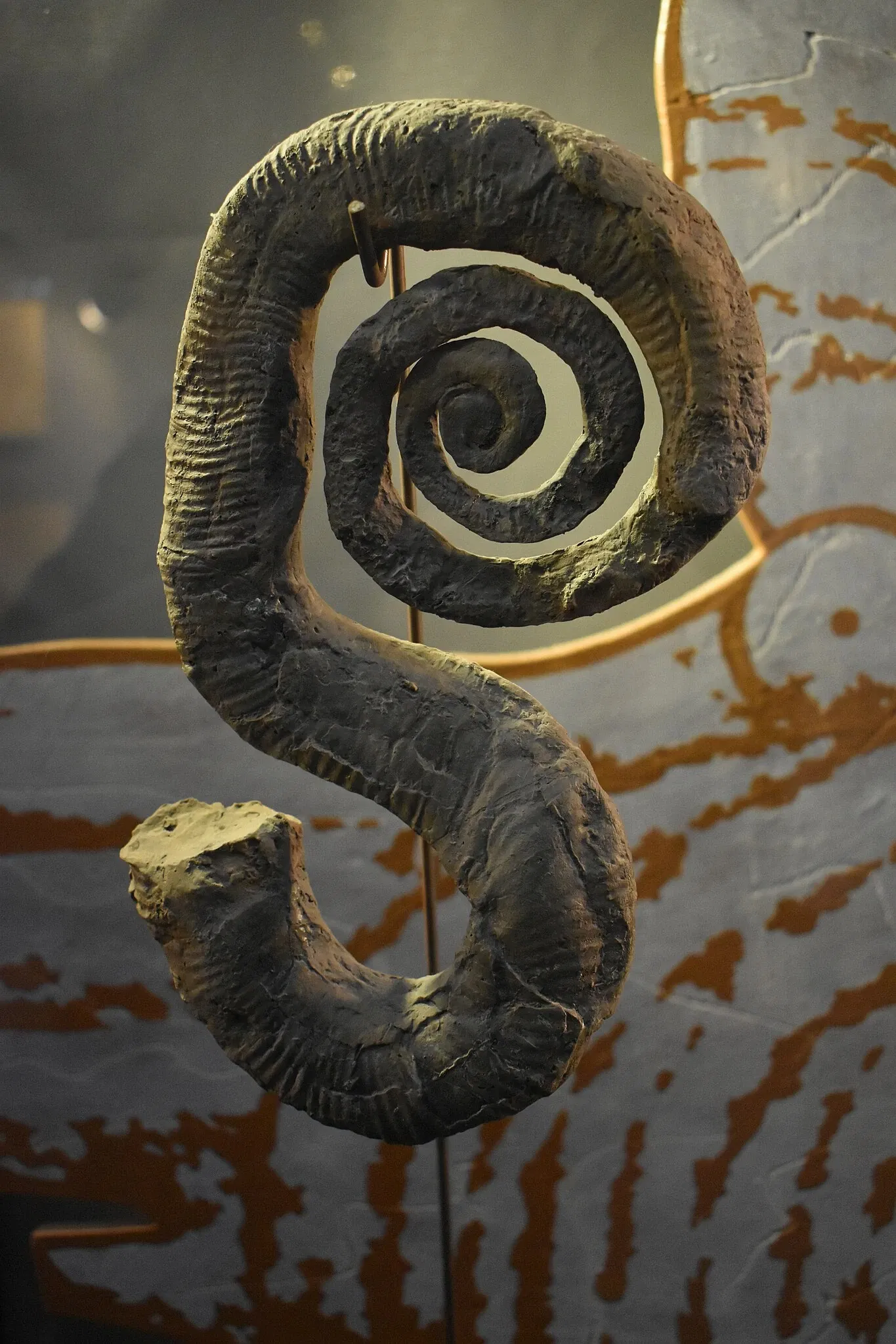 Musée des Dinosaures