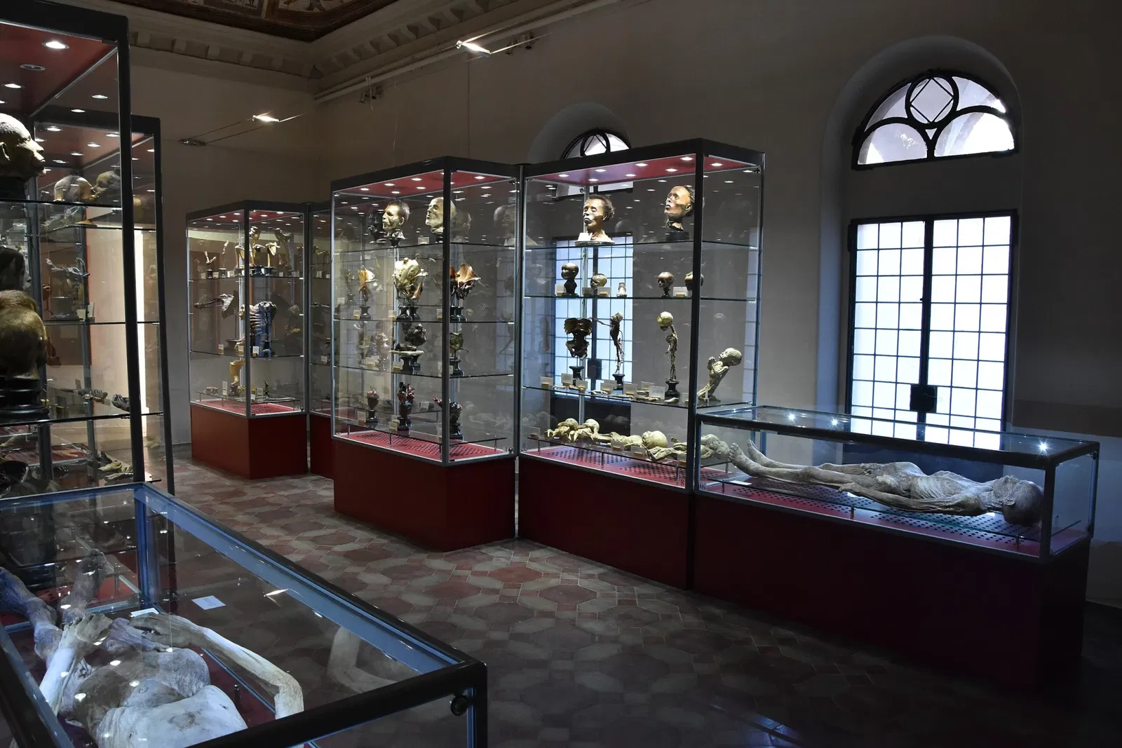 Museo Paolo Gorini