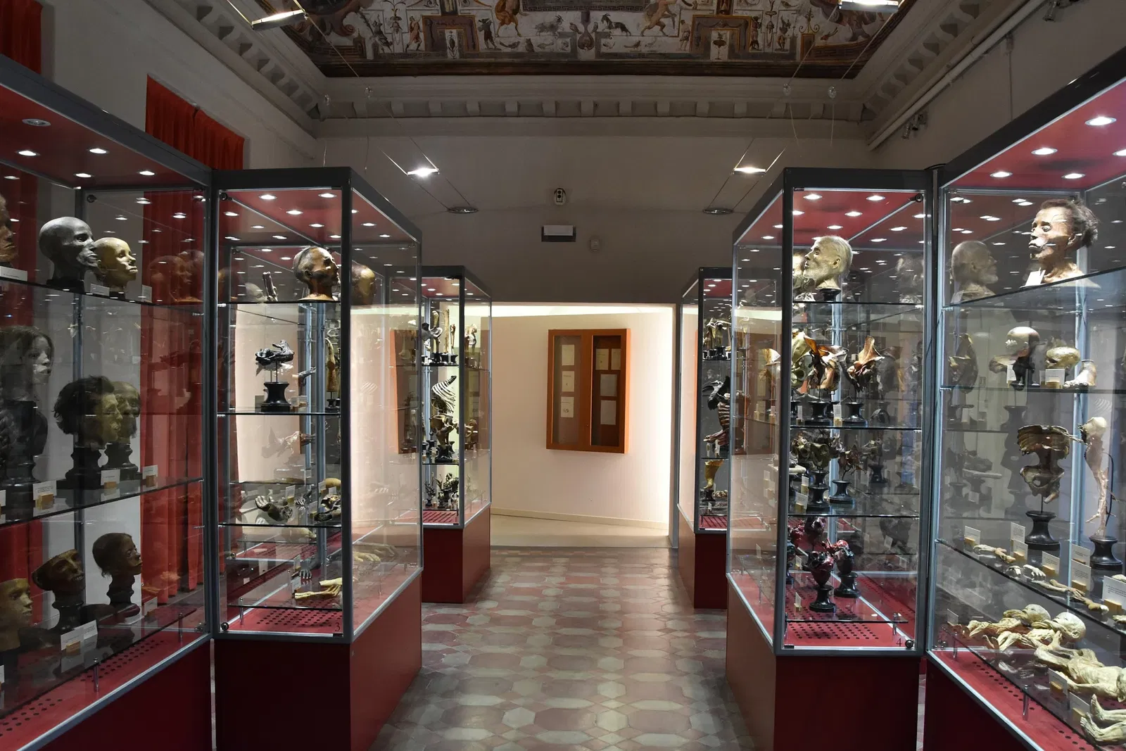 Museo Paolo Gorini