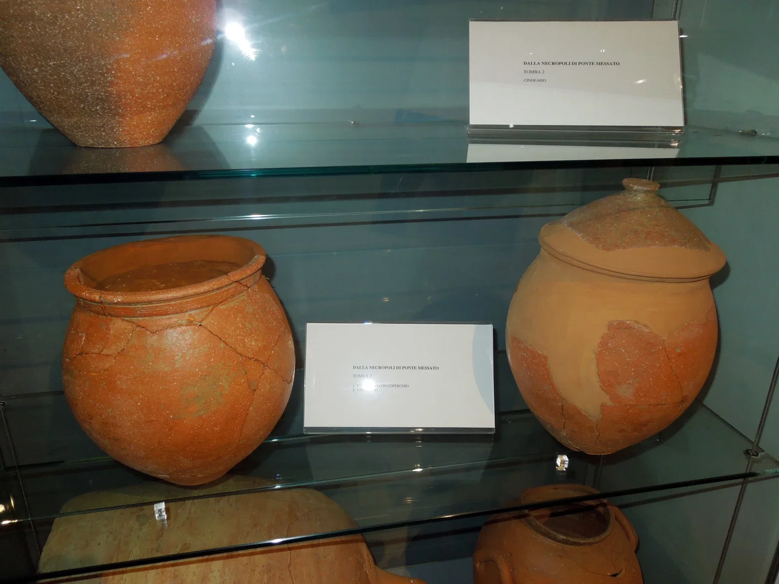 Museo Archeologico Francesco Savini