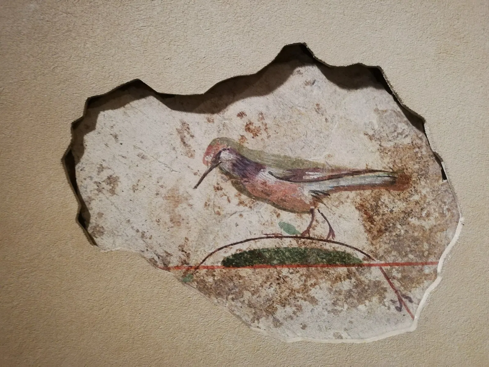 Museo Archeologico Paolo Giovio