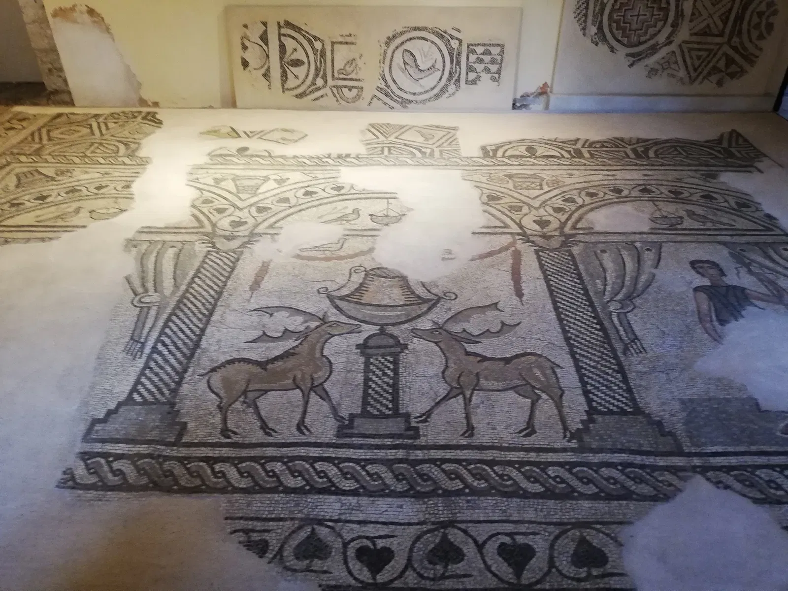 Museo Archeologico Paolo Giovio