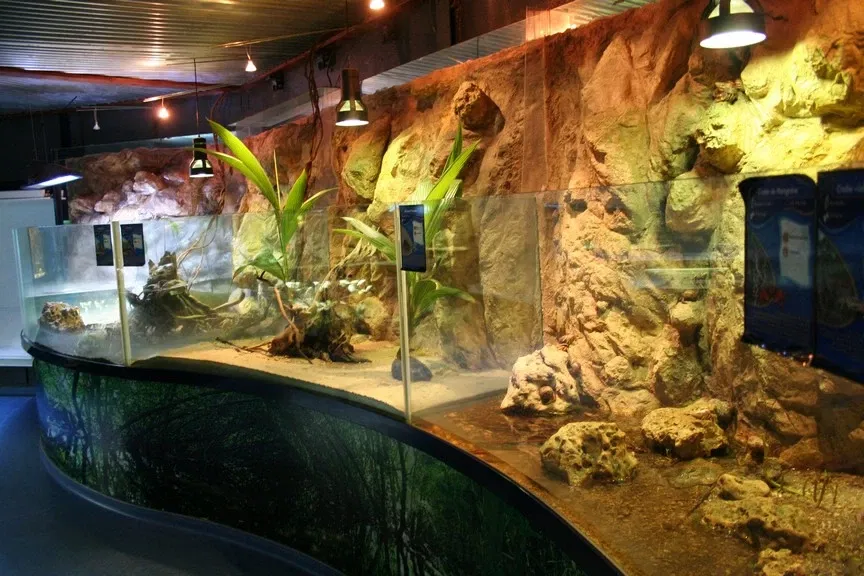 Aquarium of Guadeloupe