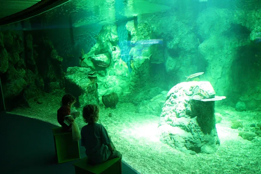 Aquarium de la Guadeloupe