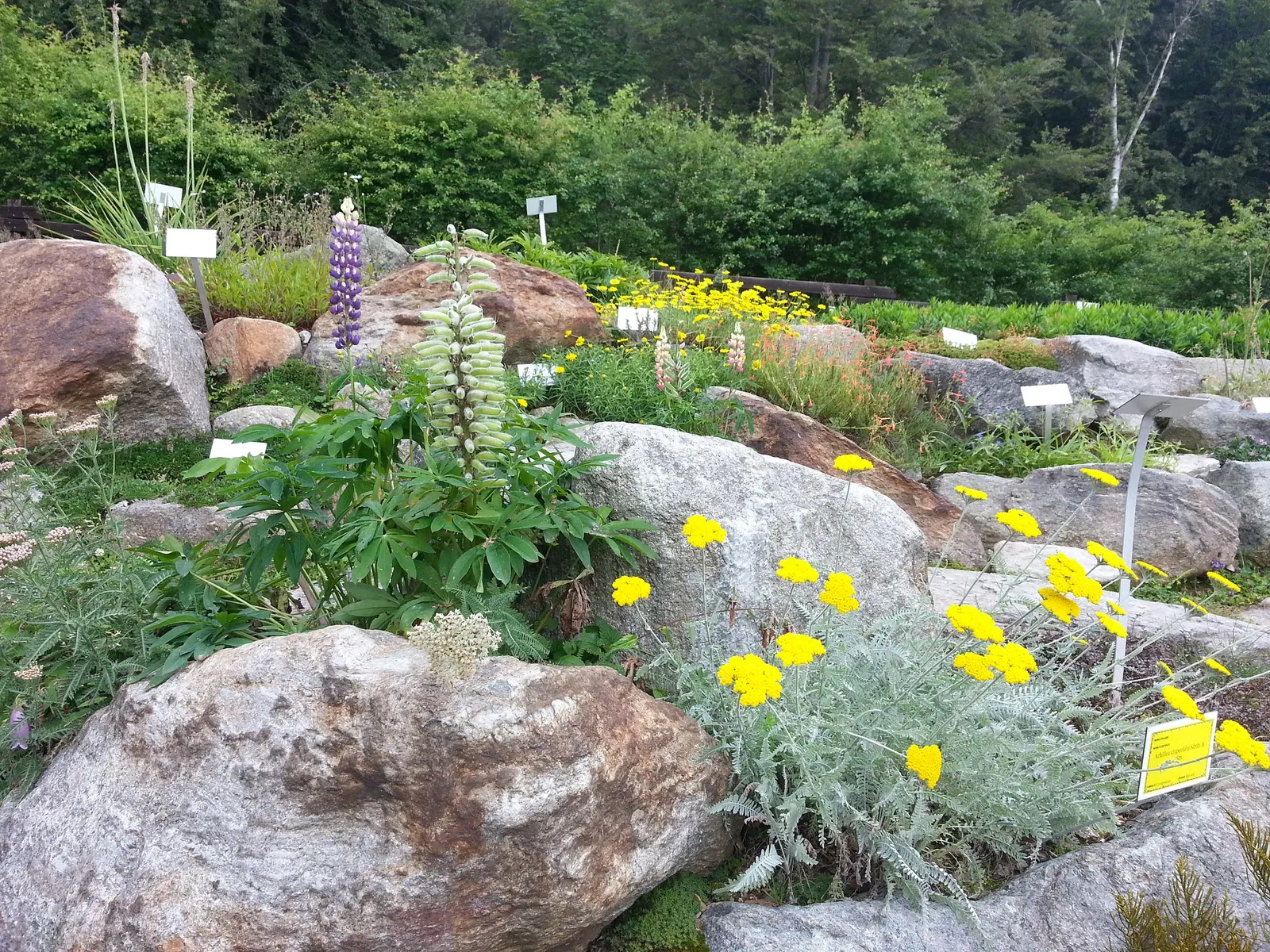 Giardino Botanico di Oropa