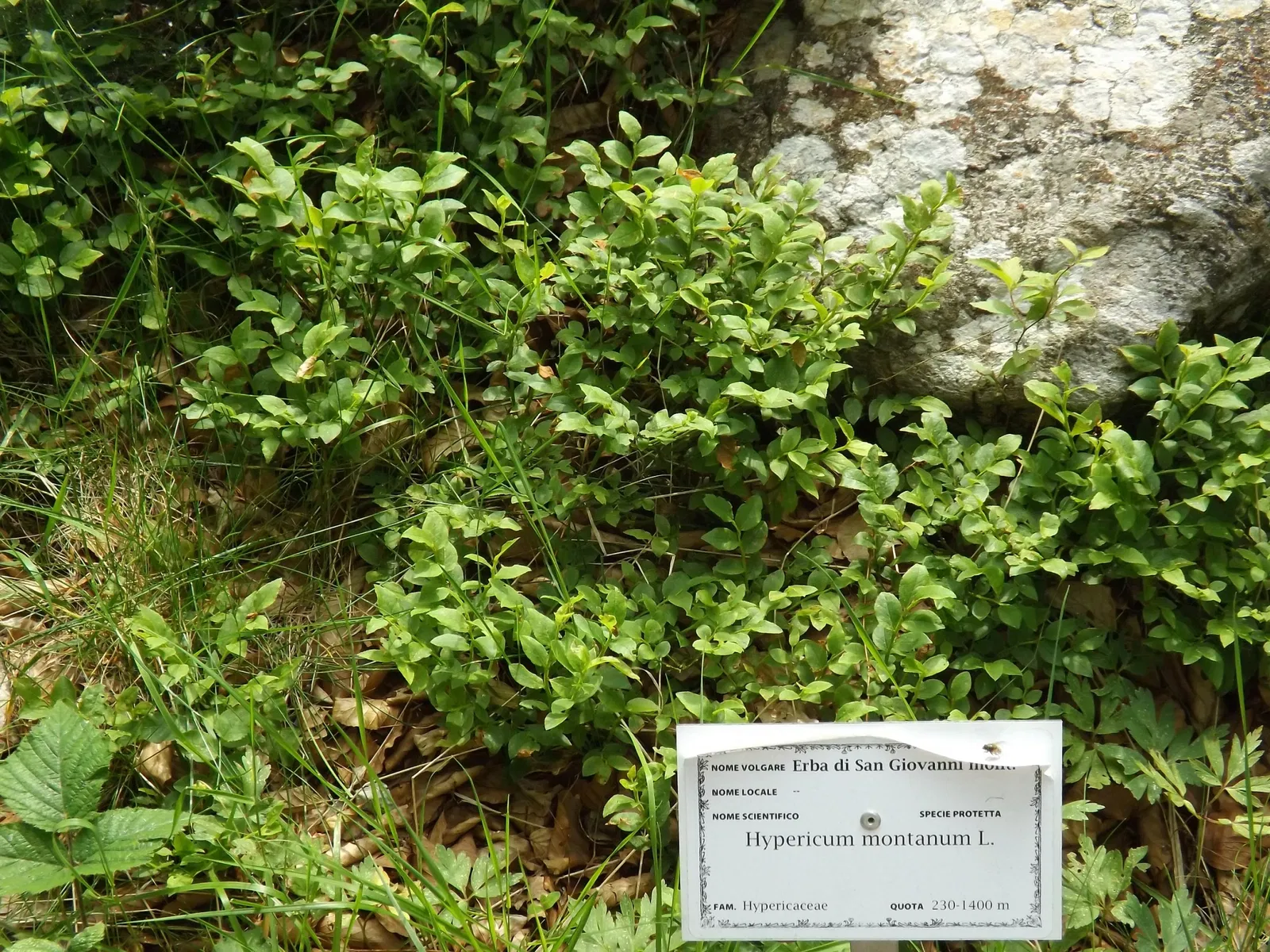 Giardino Botanico di Oropa