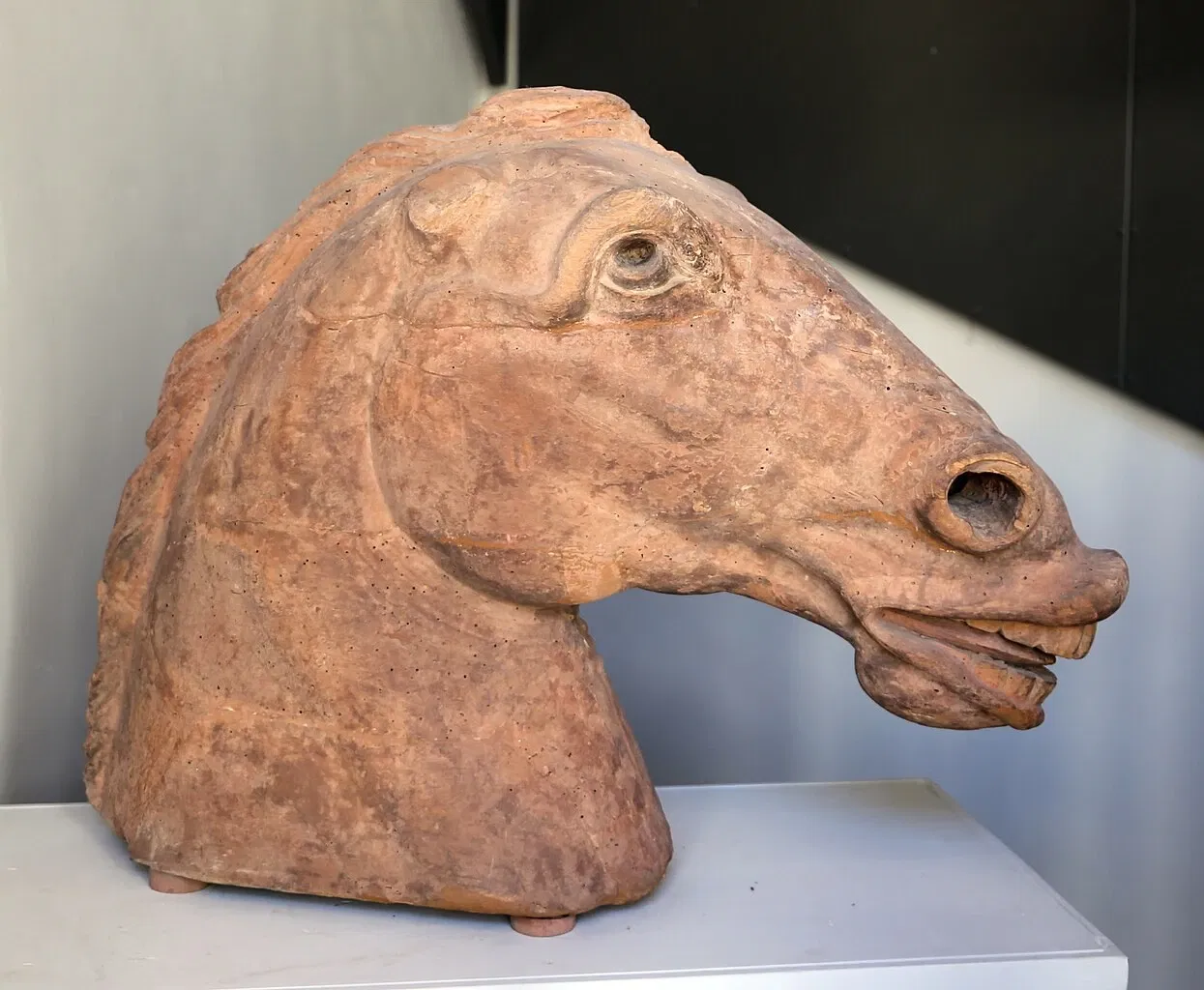 Museo Civico e Diocesano d'Arte Sacra